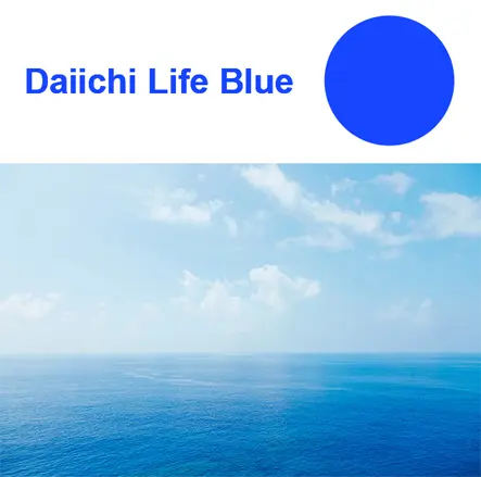 コーポレートカラーであるDaiichi Life Blueと、それをイメージした青い海と空の写真
