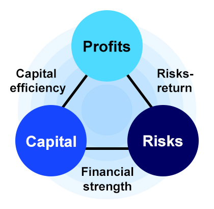 Enterprise Risk Management