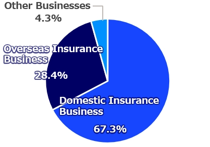Domestic insurance business 66.9%, overseas insurance business 29.1%, other businesses 4.1%