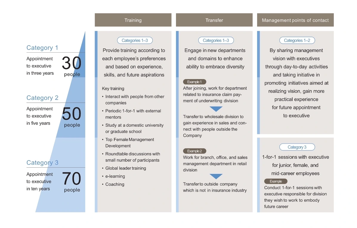 Diagram showing the creation of a next-generation management talent pool in Japan through &ldquo;Training&rdquo;, &ldquo;Transfer&rdquo;, and &ldquo;Management points of contact&rdquo; across three categories based on the expected time to executive appointment.