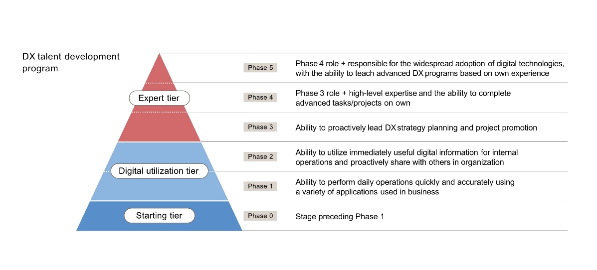 Diagram of DX talent development program