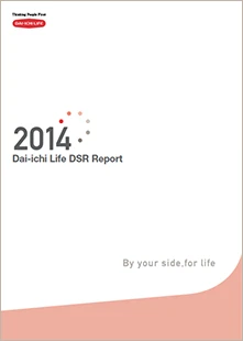 DSR Report 2014 Cover