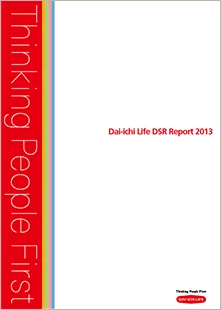 DSR Report 2013 Cover