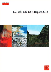 DSR Report 2012 Cover