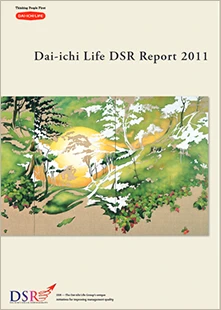 DSR Report 2011 Cover