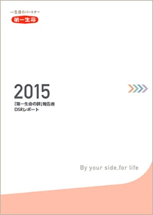 DSRレポート2015 表紙