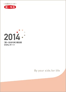 DSRレポート2014 表紙