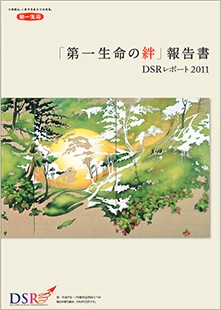 DSRレポート2011 表紙